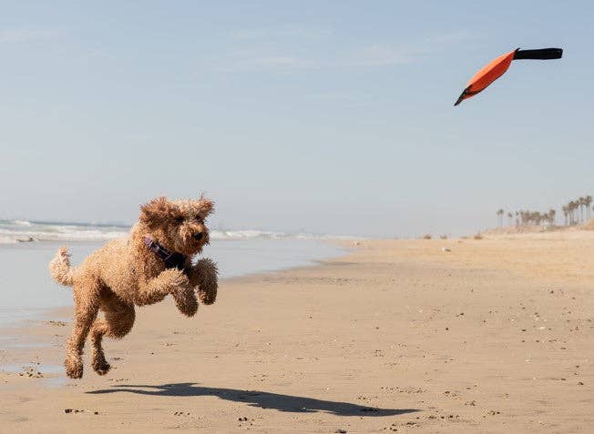 Best KB Mini Sqwuggie Tug Toy