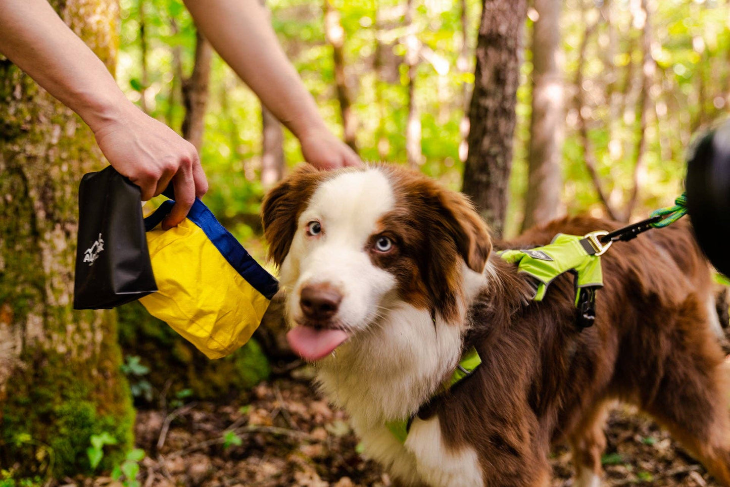 Gallatin Lightweight Collapsible Dog Bowl: Yellow Collapsible Bowl