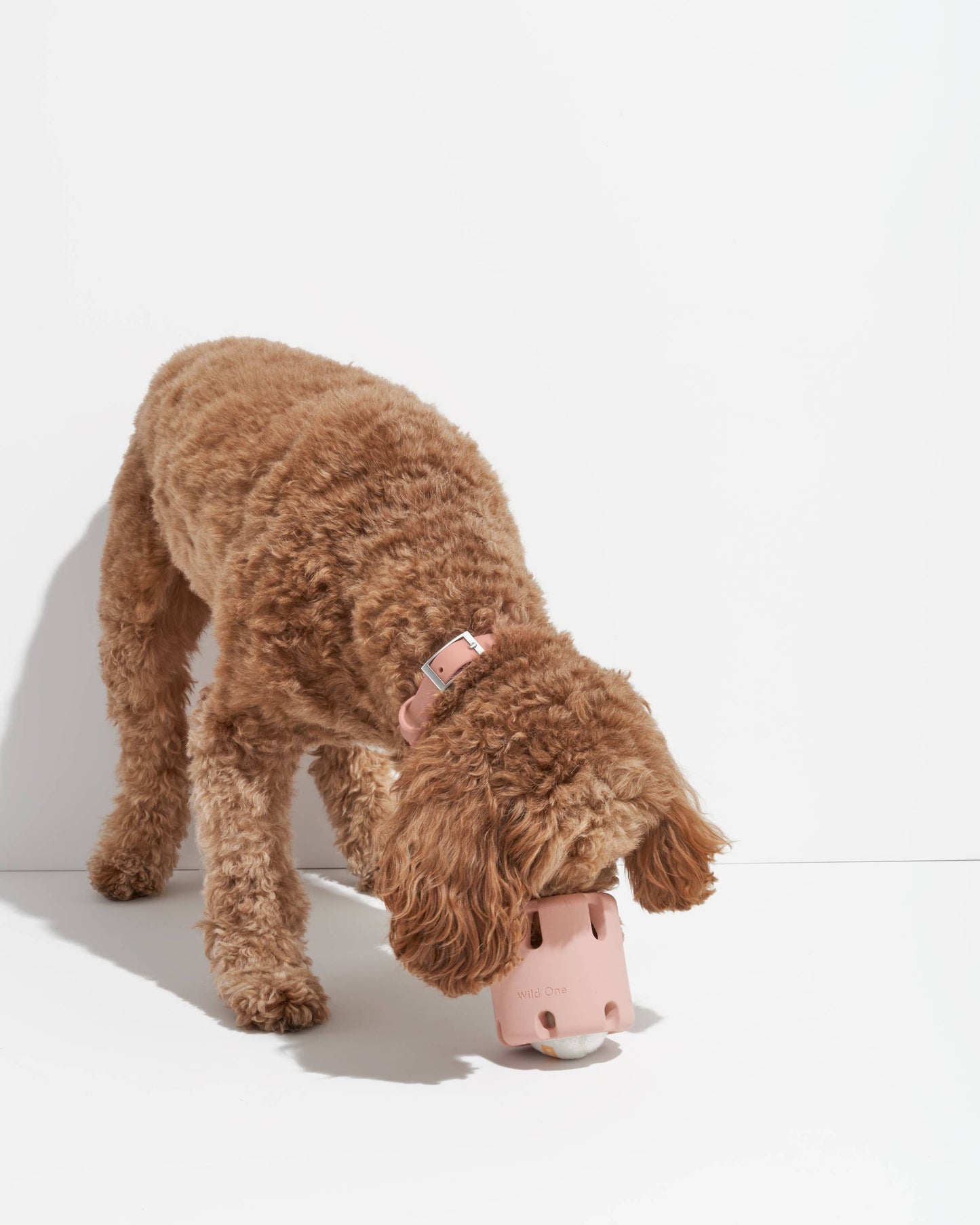 Tennis Tumble Interactive Dog Toy: Navy