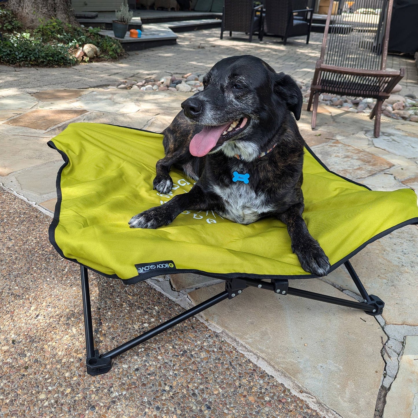 Body Glove Fold & Go Pet Cot