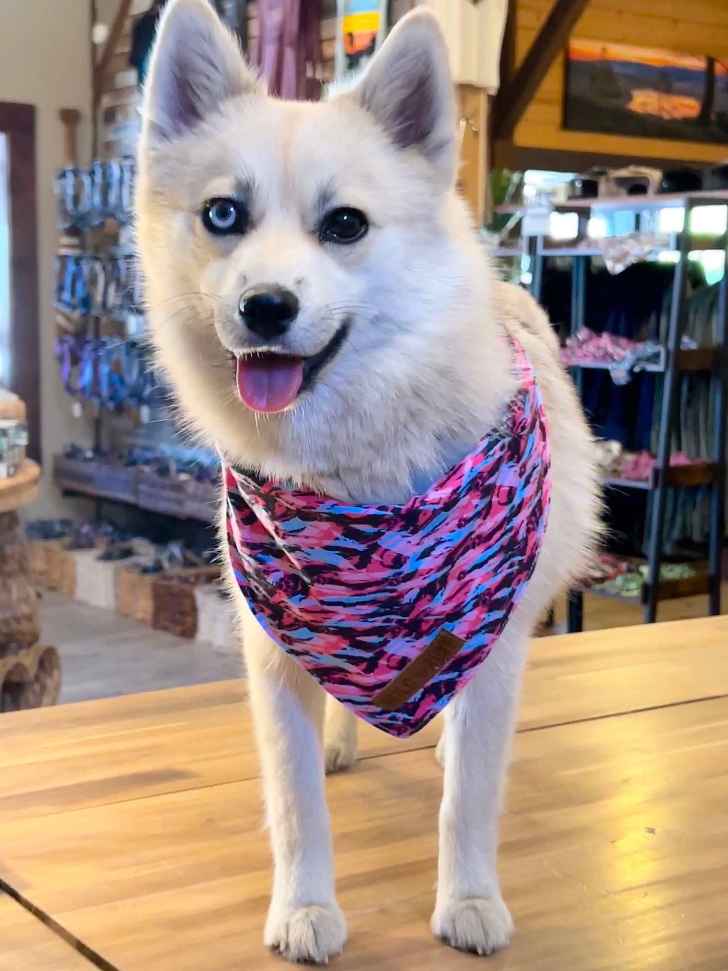 Bandana - This Way Blue: Blue / L - 24 inch
