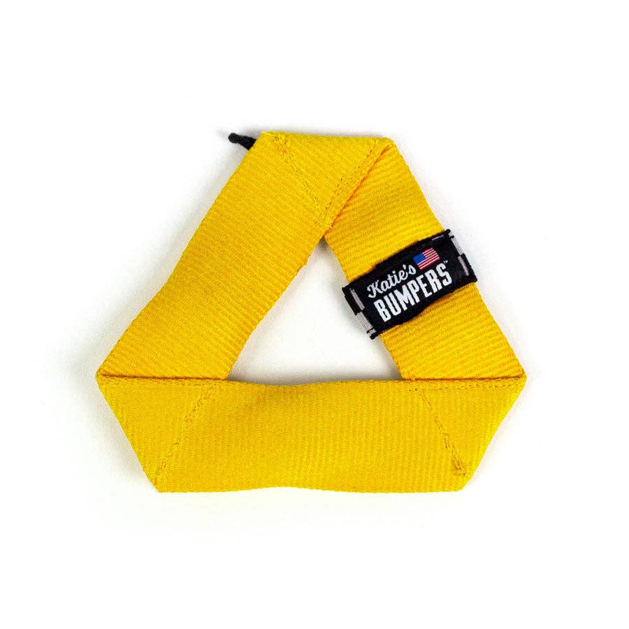 Best KB Frequent Flyer Mini Triangle Dog Fetch Toy