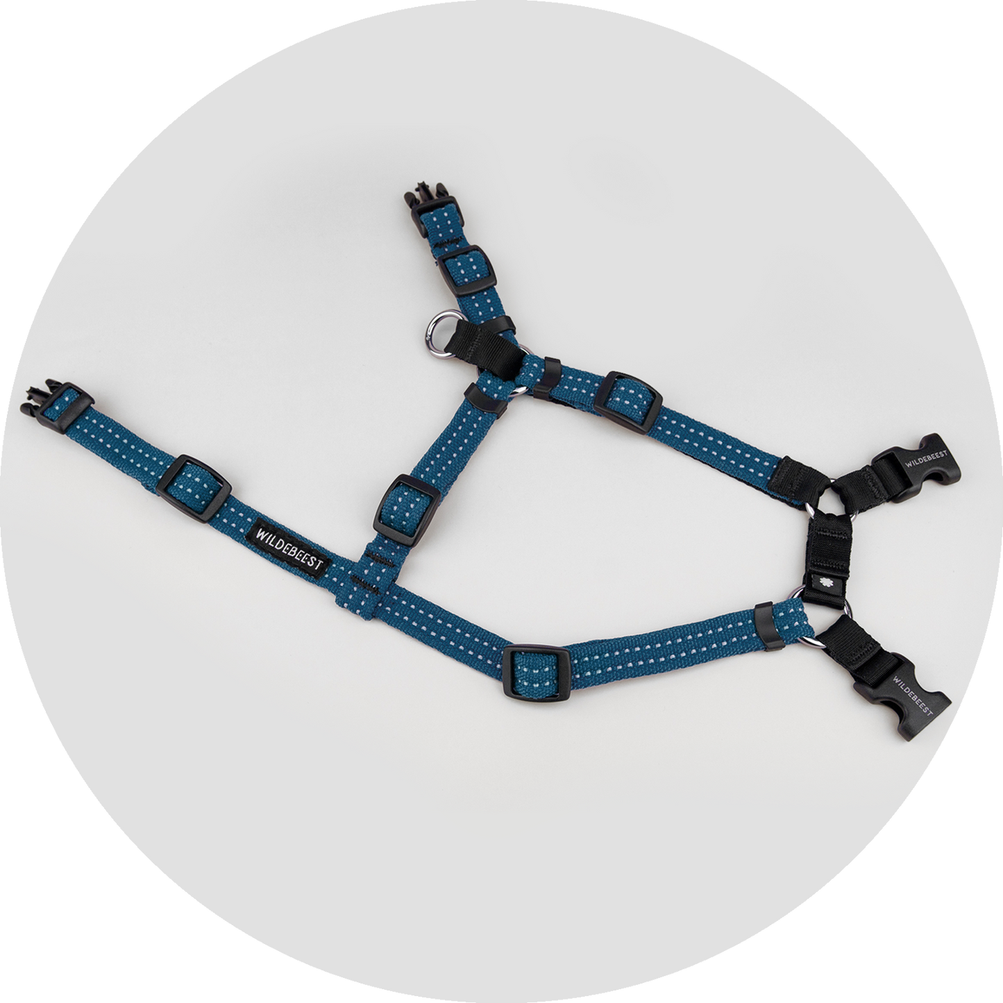 Valencia No Pull Dog Harness