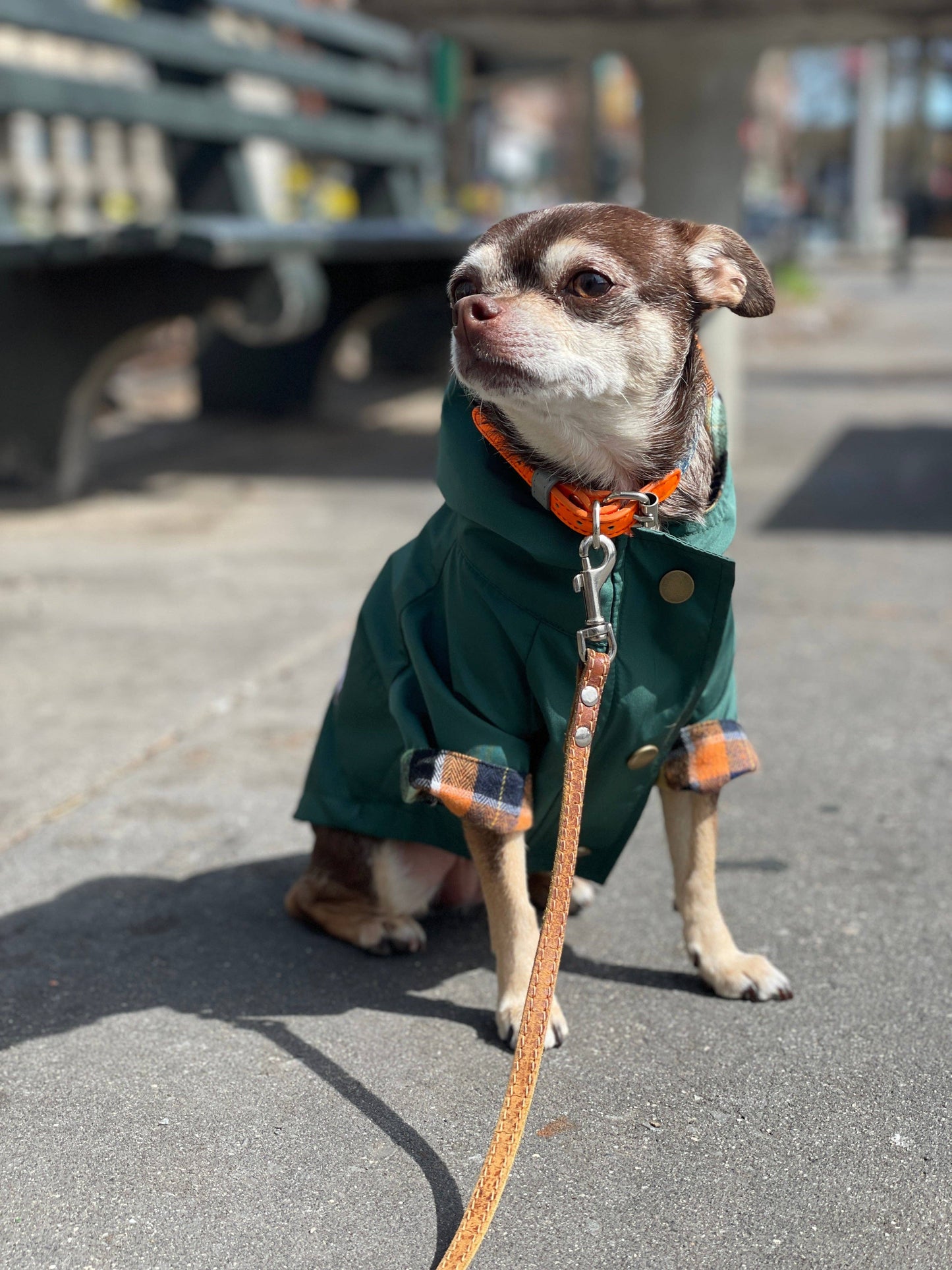 Dog Rain Jacket - Forest Green (3.0)