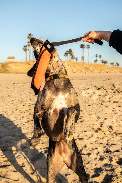 Best KB Big Tug Dog Tug Toy