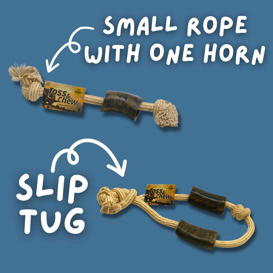 Rope with Water Buffalo Horns! 12"
