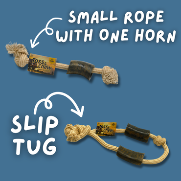 Rope with Water Buffalo Horns! 12"