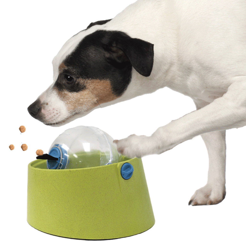 Interactive Seek-A-Treat Puzzle Ball