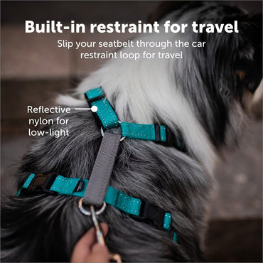 Petsafe 3-in-1 Harness
