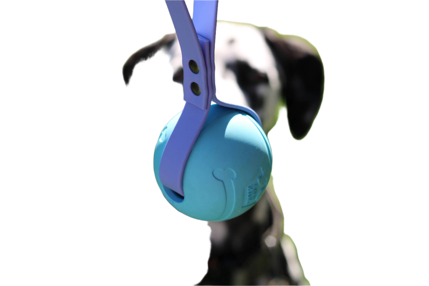 BioThane Tug Toy | Fetch Toy | Toss Toy | Training Reward: Mist / Blue/Purple/Mint