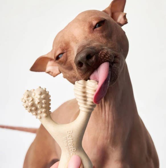 BetterBone Medium Beef Dog Chew Toy