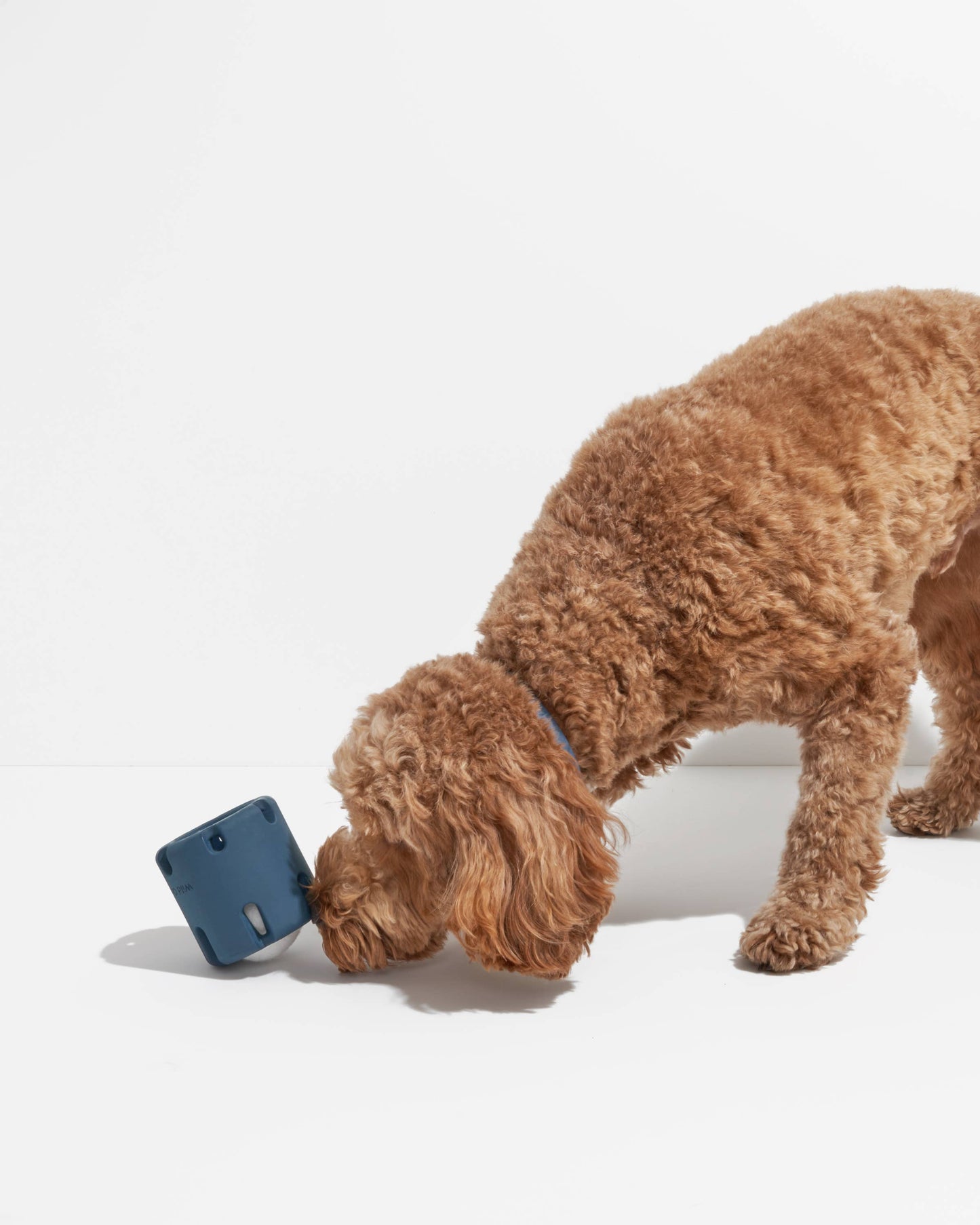 Tennis Tumble Interactive Dog Toy: Navy
