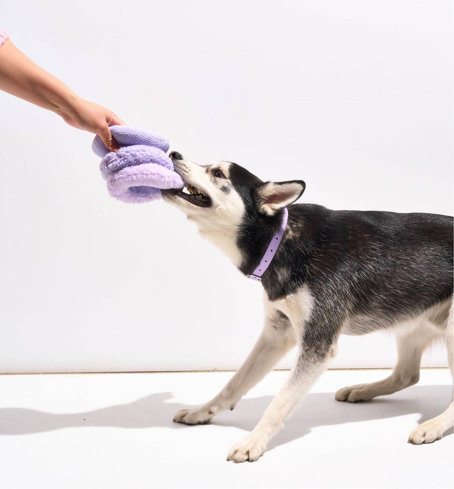 Plush Dog Toy - Tennis Tuft: Lilac