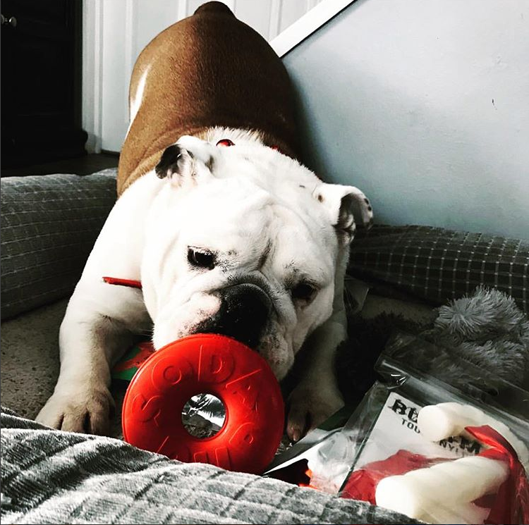 SP Life Saver - Chew Toy - Treat Dispenser - Large - Red