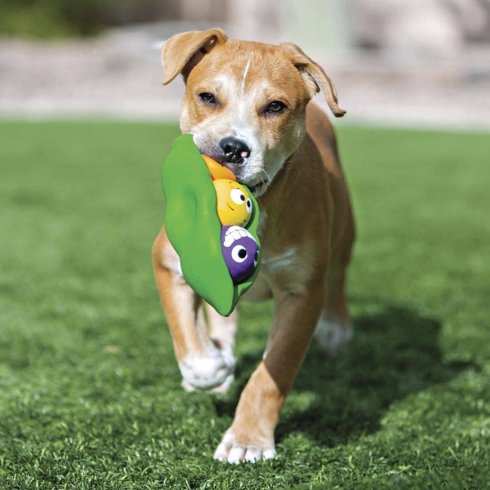 Three Peas in a Pod Squeaker Toy