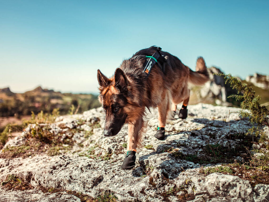 Non-Stop Dogwear Protector Bootie