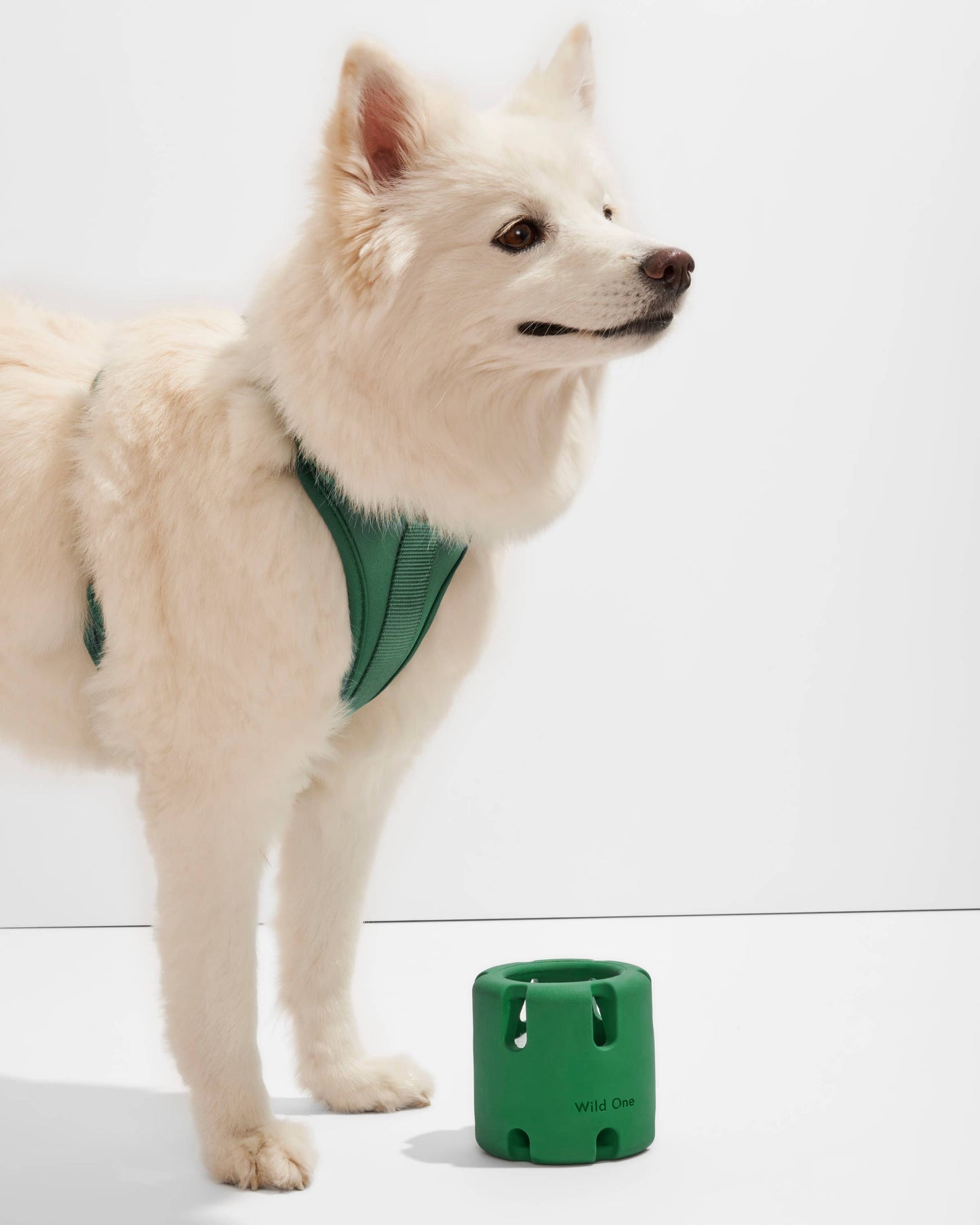 Tennis Tumble Interactive Dog Toy: Navy