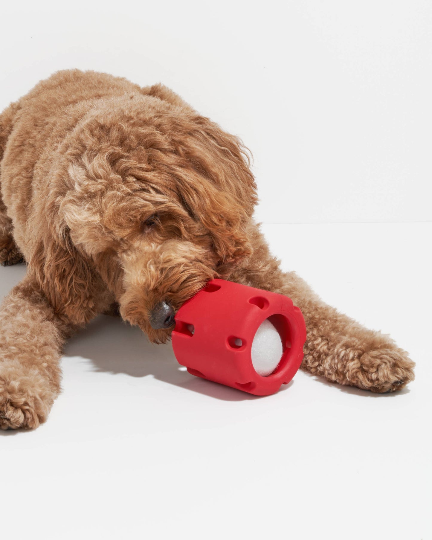 Tennis Tumble Interactive Dog Toy: Navy