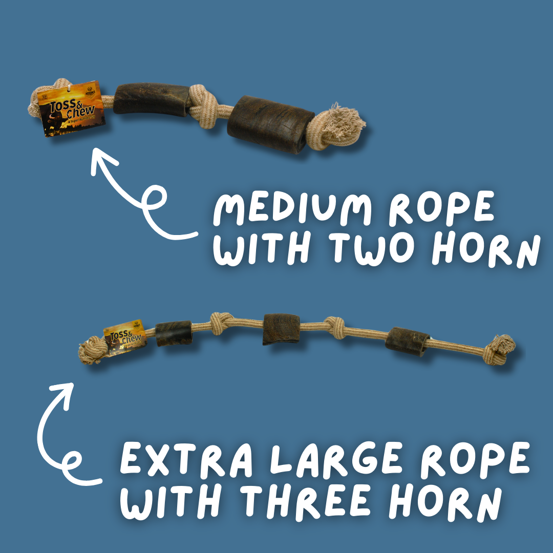 Rope with Water Buffalo Horns! 12"