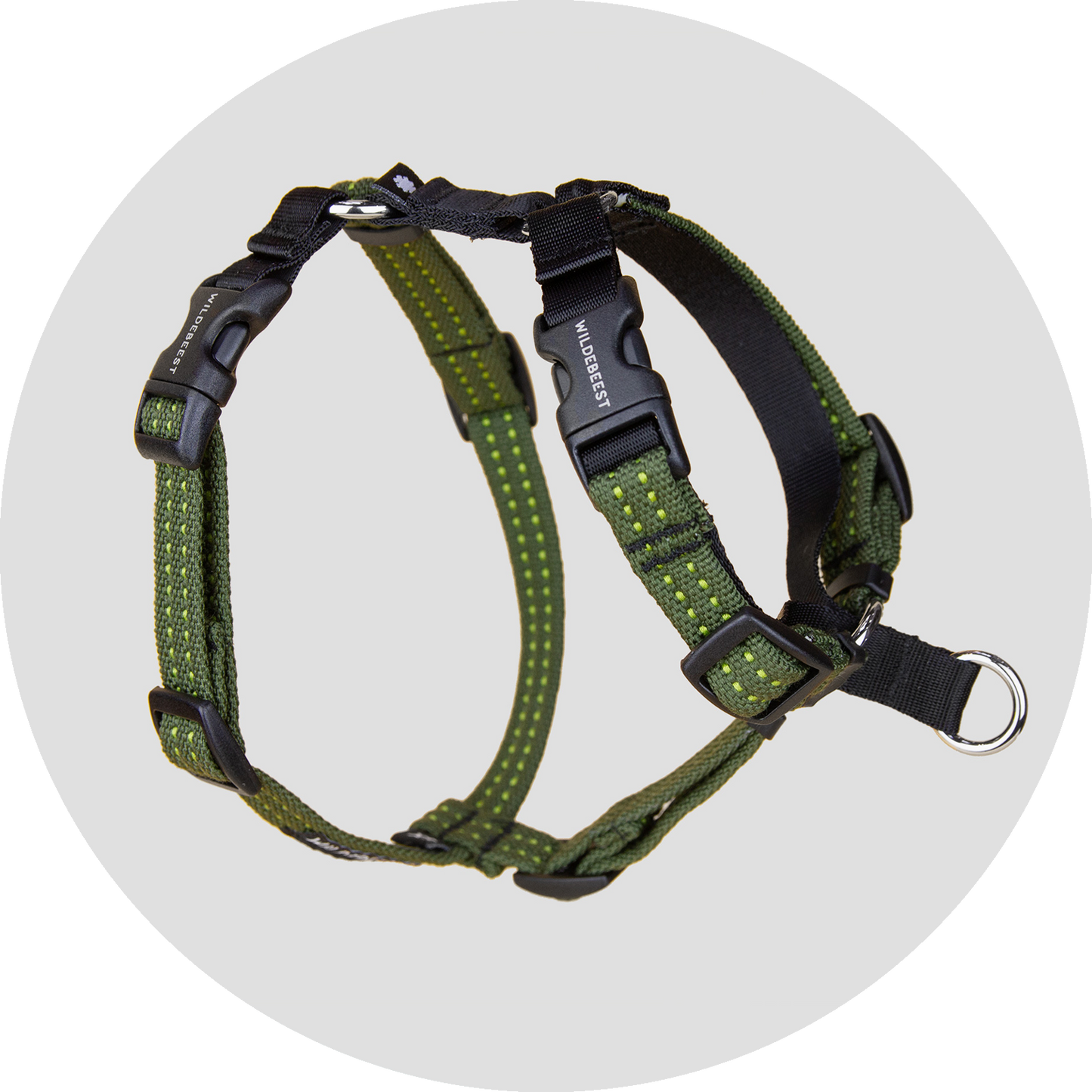 Valencia No Pull Dog Harness