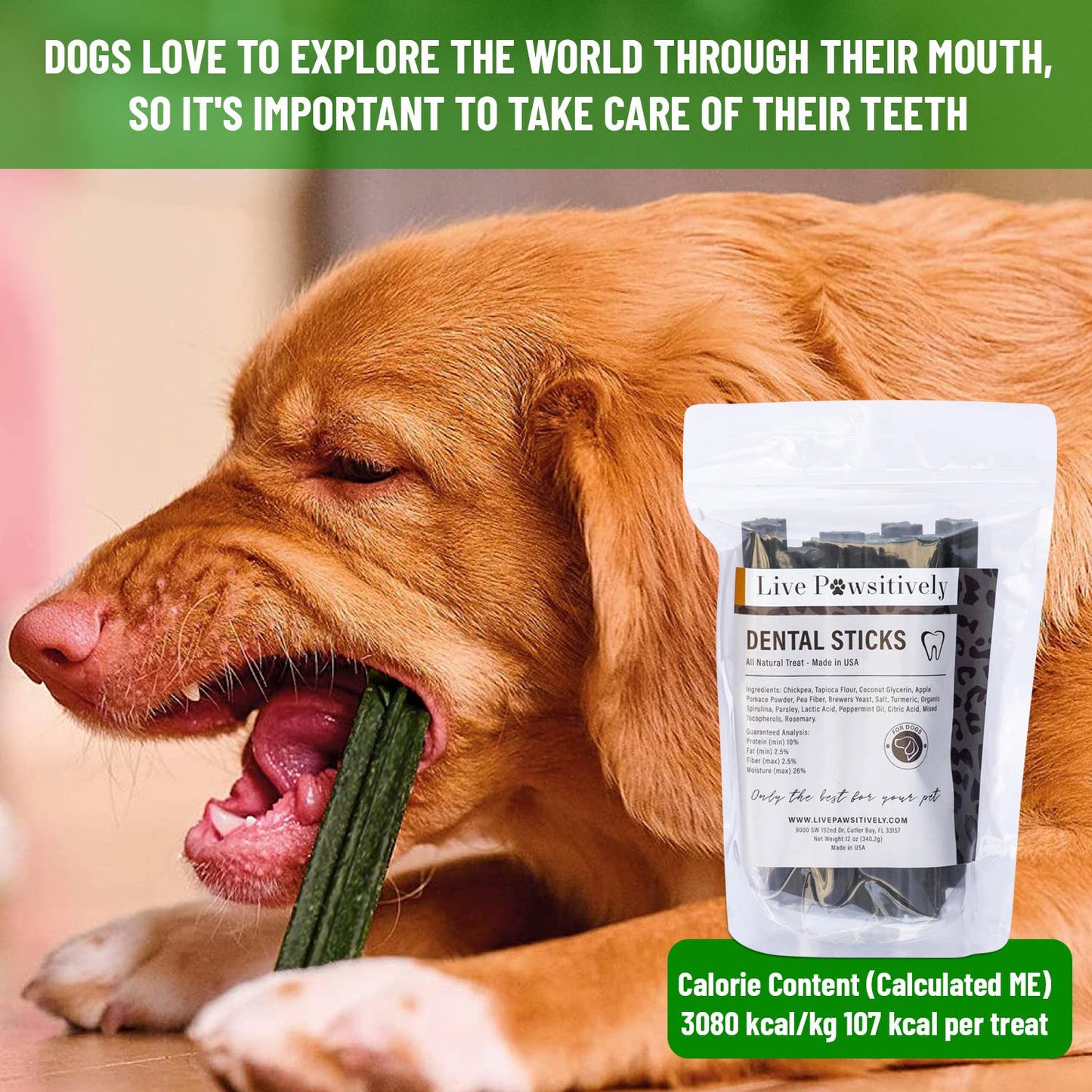 Dental Chews for Dogs & Puppies