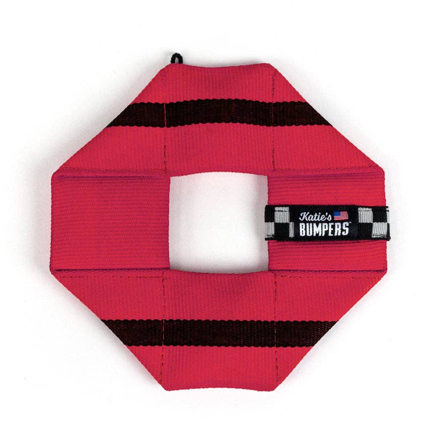 Frequent Flyer Square Dog Fetch Toy with Squeakers, Katie's Bumpers