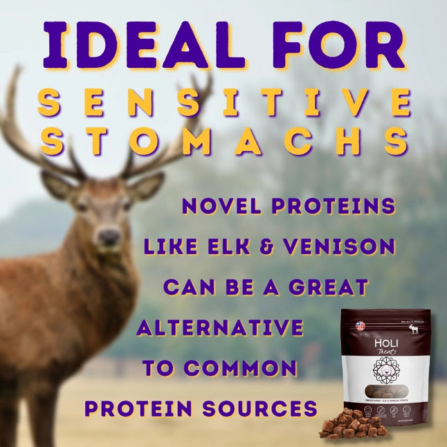 Holi Freeze Dried Elk & Venison Food Topper