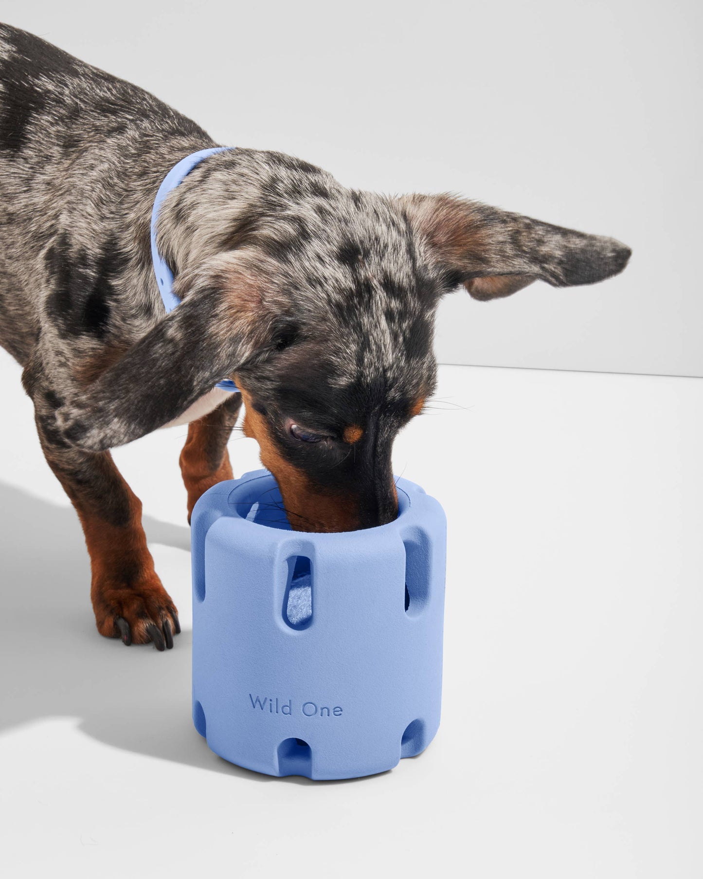 Tennis Tumble Interactive Dog Toy: Navy