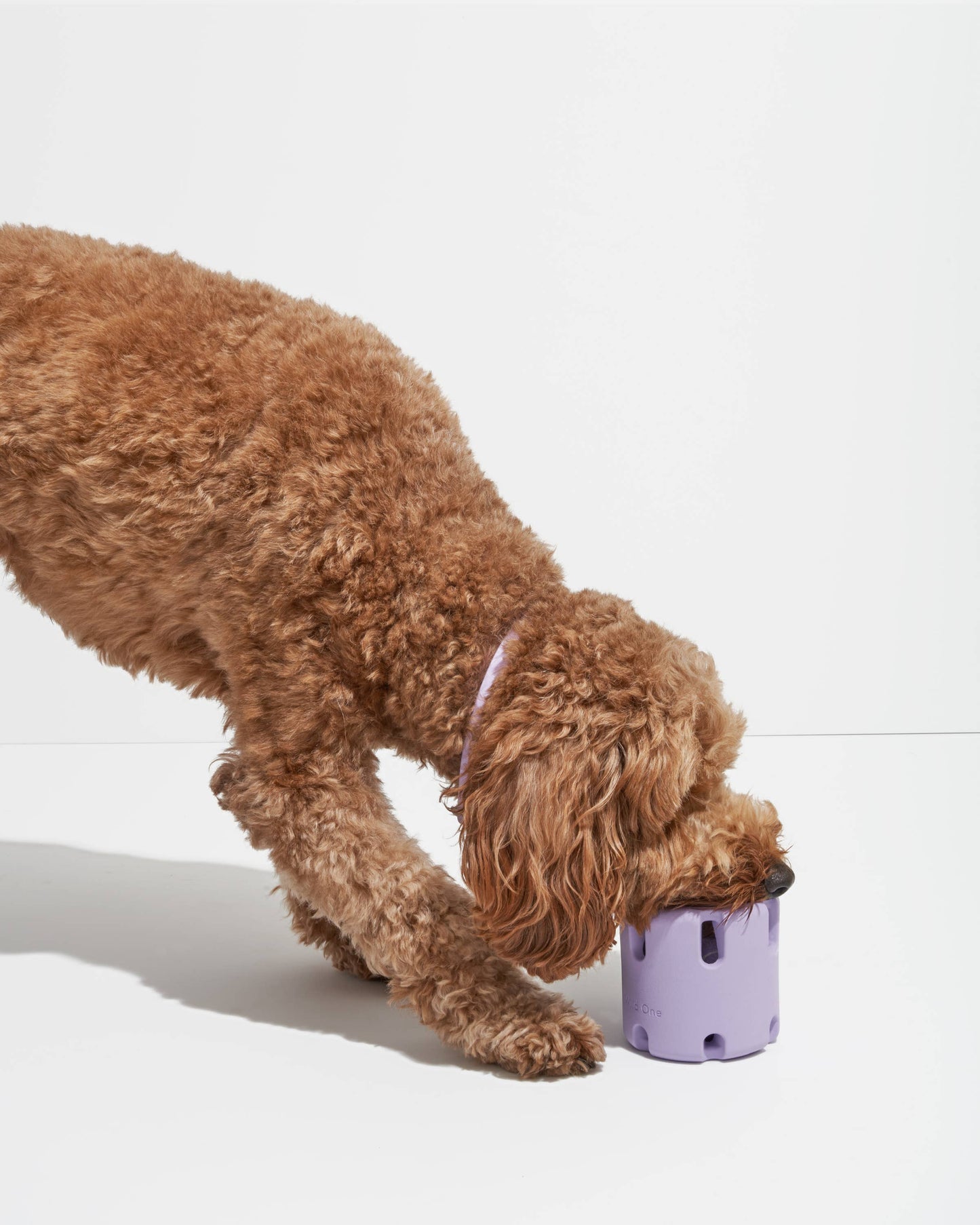 Tennis Tumble Interactive Dog Toy: Navy