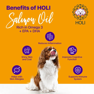 Holi Pure Icelandic Salmon Oil