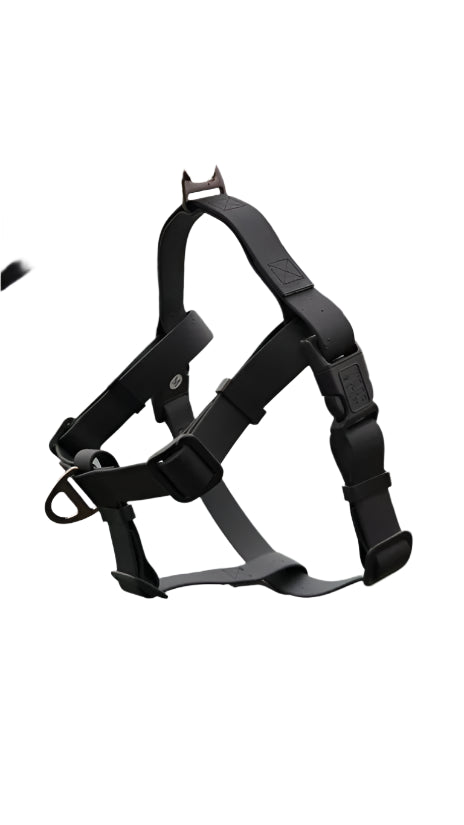 Waterproof Adventure Harness