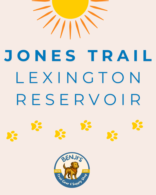 Dog-Friendly Reservoir Hike in the Bay Area | Jones Trail - Lexington Reservoir
