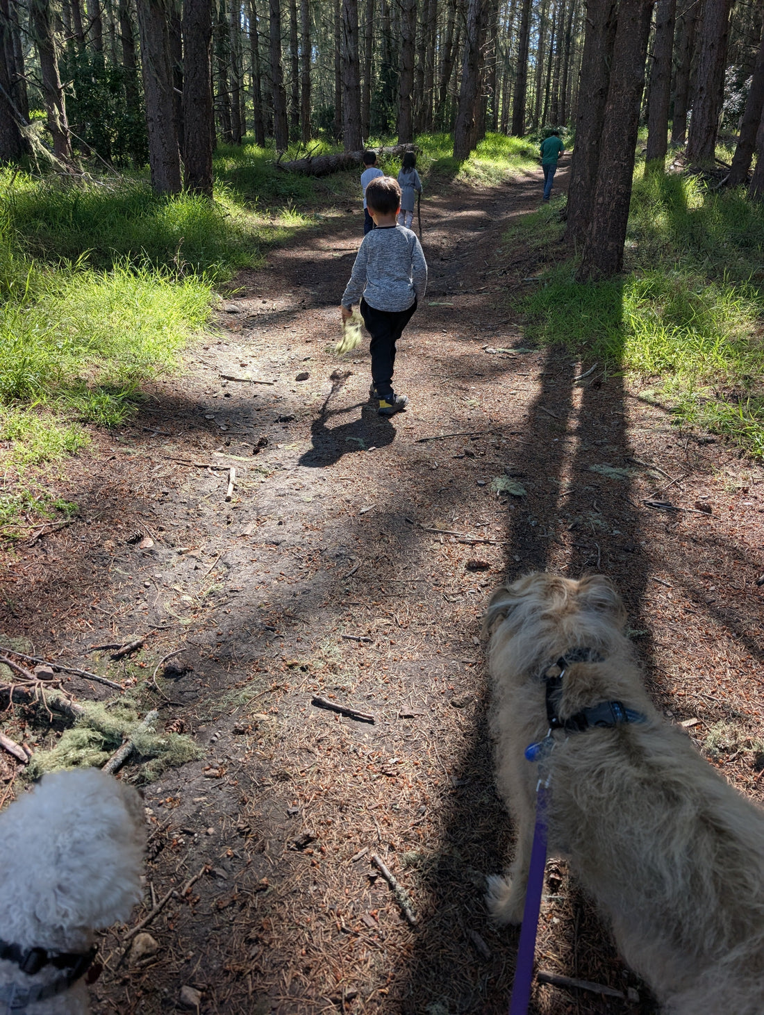 Sand, Surf & Blackberry Bushes: Our Carmel Valley Camping Adventure