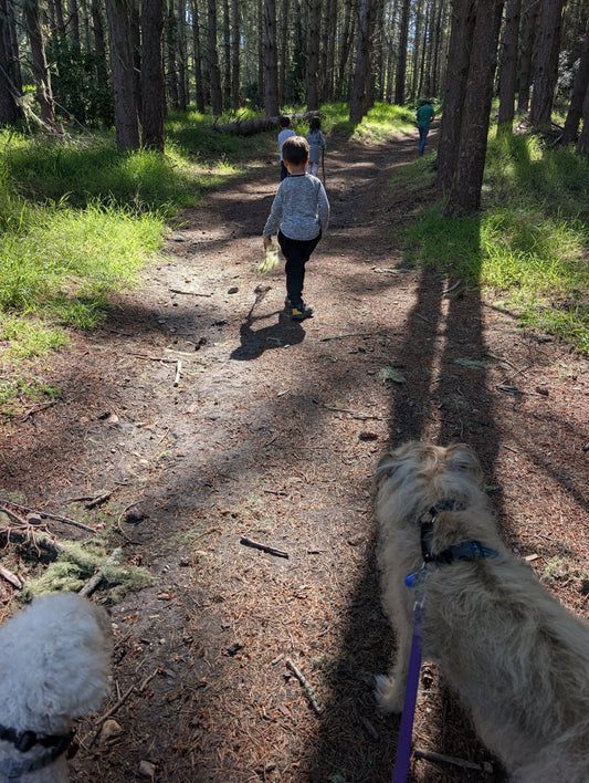 Sand, Surf & Blackberry Bushes: Our Carmel Valley Camping Adventure