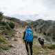 Dog-Friendly Reservoir Hike in the Bay Area | Jones Trail - Lexington Reservoir
