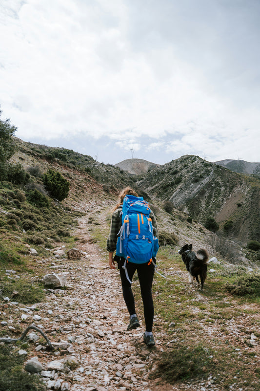 Dog-Friendly Reservoir Hike in the Bay Area | Jones Trail - Lexington Reservoir
