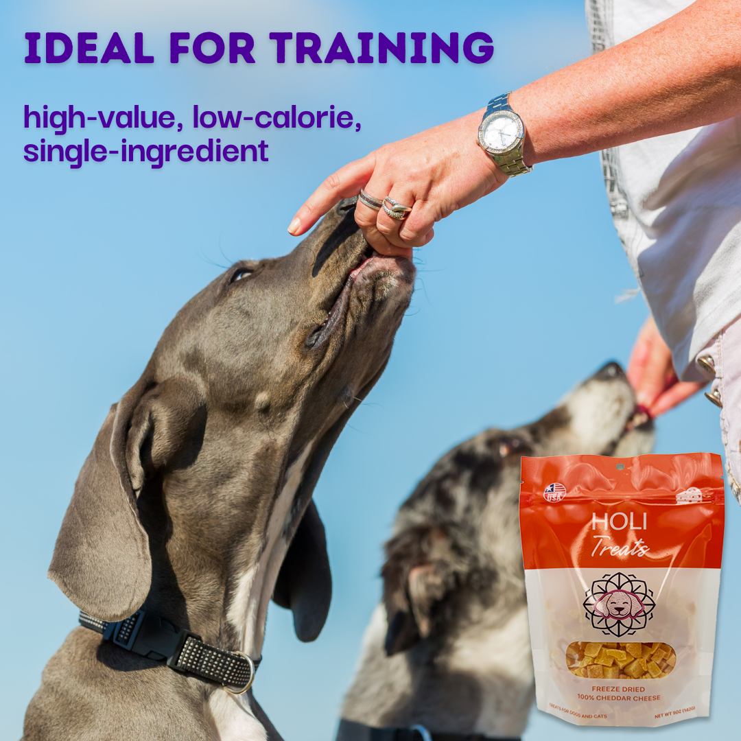 HOLI Cheddar Cheese Freeze-Dried Dog Treats
