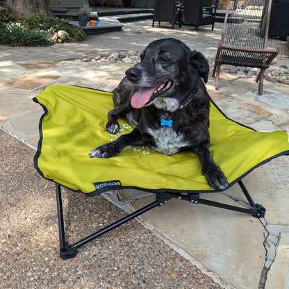Body Glove Fold & Go Pet Cot