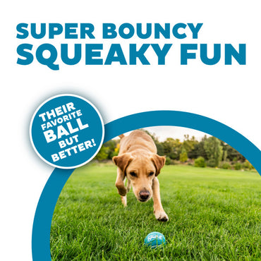 Outward Hound Squesker Ballz, Small 8 pack