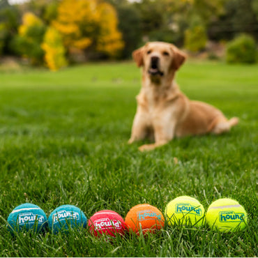 Outward Hound Squeaker Ballz, Large 4 pack