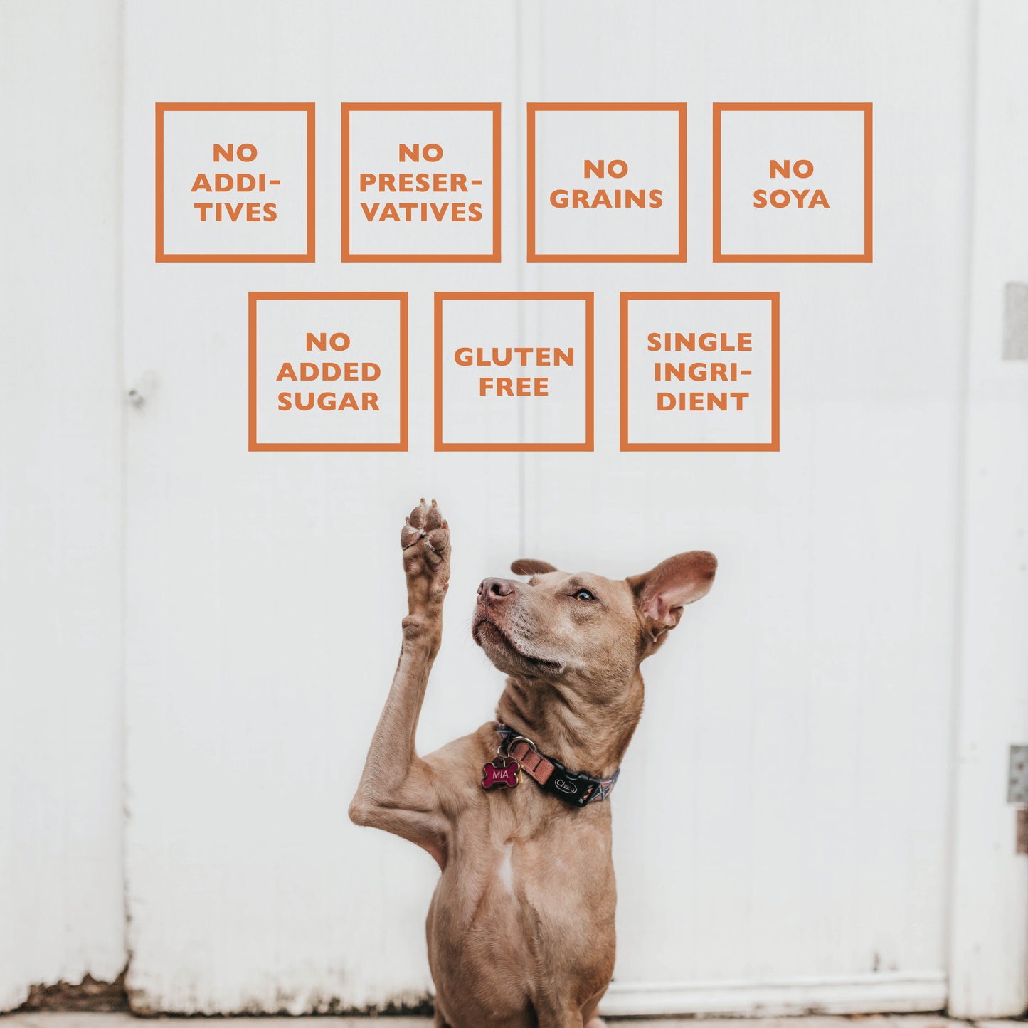 All-Natural Lamb Lung Training Bites Dog Chews (7oz Bag)