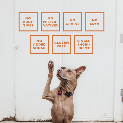 All-Natural Lamb Lung Training Bites Dog Chews (7oz Bag)