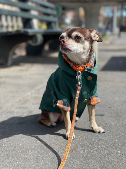 Dog Rain Jacket - Forest Green  (3.0)