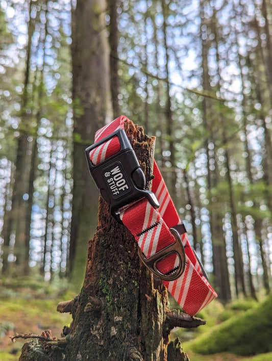 Candy Cane Christmas collar
