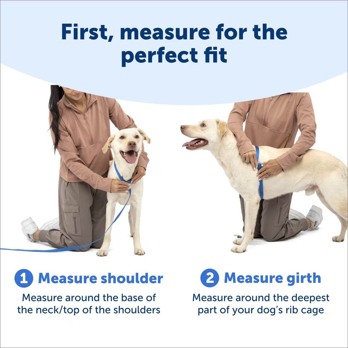 Petsafe 3-in-1 Harness