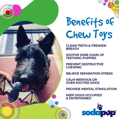 Vampire Bat Nylon Dog Chew