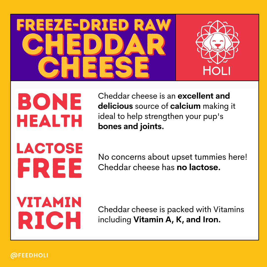 HOLI Cheddar Cheese Freeze-Dried Dog Treats