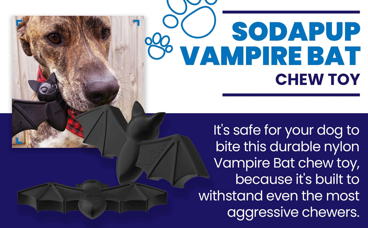 Vampire Bat Nylon Dog Chew