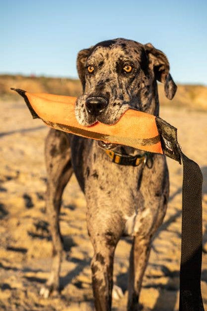 Best KB Big Tug Dog Tug Toy