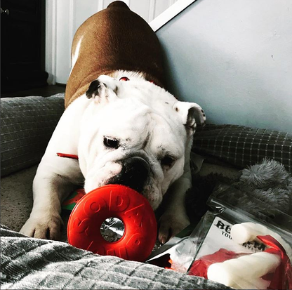 SP Life Saver - Chew Toy - Treat Dispenser - Large - Red